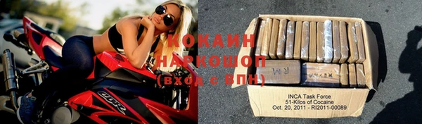 прущие крисы Магас