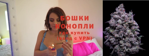 прущие крисы Магас