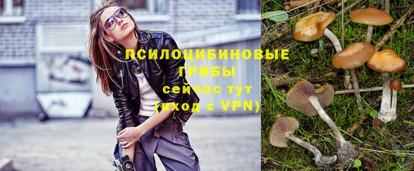 прущие крисы Магас