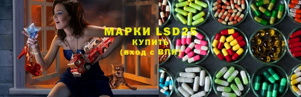 прущие крисы Магас