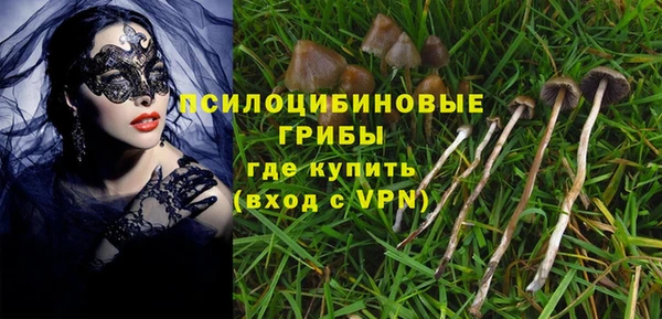 крисы Майский